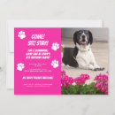Recherche de canine invitations Animaux