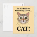 Recherche de visage de chats cartes postales Mignon
