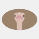 Recherche de autruche autocollants Oiseau