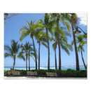 Recherche de oahu posters Palmiers