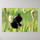Recherche de reeder posters Animal