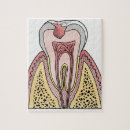 Recherche de corps humain puzzles Dents humaines