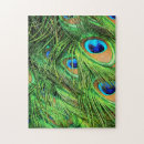 Zoek naar peacock puzzels Vogel