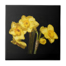 Recherche de fleur jonquille carreaux Noir
