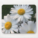 Recherche de marguerite blanche tapis souris Jardin