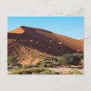 Recherche de les dunes cartes postales Namibie