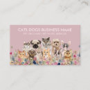 Recherche de chien de chat cartes visite Toilettage des animaux
