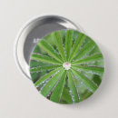 Recherche de sphères badges Vert