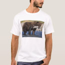 Recherche de ours brun tshirts Alaska