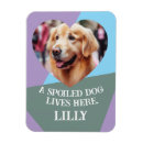 Recherche de coeurs magnets Pour eux