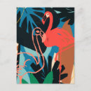 Recherche de flamants cartes postales Oiseau tropical