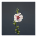 Recherche de rose gris posters Fleur
