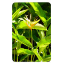 Recherche de paradis magnets Fleur