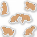 Recherche de animaux de prairie autocollants Mammifères