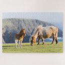 Zoek naar veulen puzzels Ranch