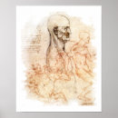 Recherche de dessins de da vinci posters Anatomie