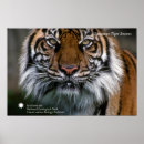Recherche de smithsonien posters Animaux