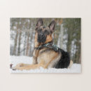 Recherche de berger allemand puzzles Chien