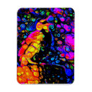 Recherche de mesure liquide magnets Pour tous