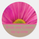 Recherche de gerber rose Floral