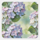 Zoek naar hydrangea hortensia stickers Bloem