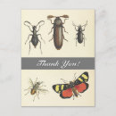 Zoek naar insecten kaarten Vintage