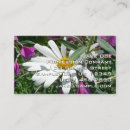 Recherche de marguerie cartes visite Nature