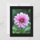 Recherche de dahlia cartes postales Rose