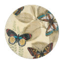 Recherche de insectes planches à découper Crème