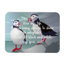 Recherche de conseiller magnets Oiseau