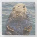 Recherche de loutre dessous de verres Alaska