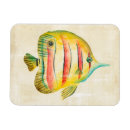 Recherche de aquarium magnets Orange