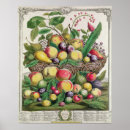 Recherche de douze mois posters Pieter