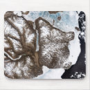 Zoek naar groenland muismatten Geografie