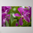 Recherche de singapour posters Attraction