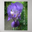 Recherche de iris fleur posters Violet