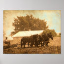 Recherche de cheval de travail posters Rural