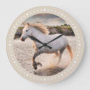 Zoek naar paardenfoto posters Boerderij
