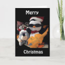 Zoek naar pinguïn liefde posters Fotografie