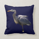 Recherche de héron bleu coussins Animaux