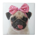 Recherche de de carlin carreaux Animal