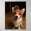 Recherche de animal bébé art Corgi