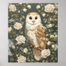 Recherche de barn owl posters Rose