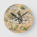 Recherche de prairies horloges Dog