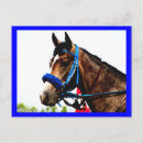 Recherche de cheval de course cartes postales Chevaux