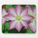 Recherche de vigne fleur tapis souris Violet