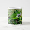 Recherche de perroquet vert tasses Animal