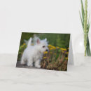 Recherche de westies mignons vœux cartes Terrier