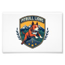 Recherche de chien pitbull posters Amateur