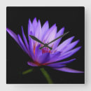 Recherche de nénuphar horloges Fleurs